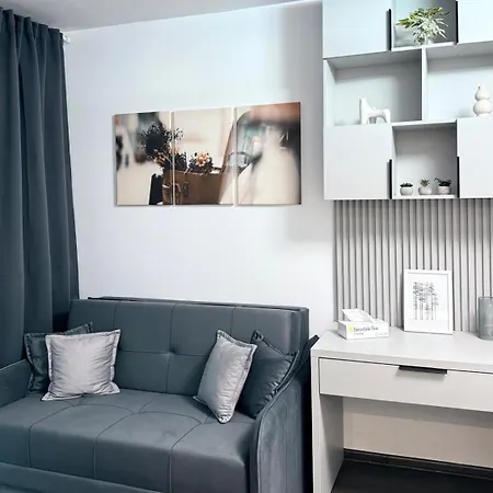 Apartment Casa Mayona Brasov
