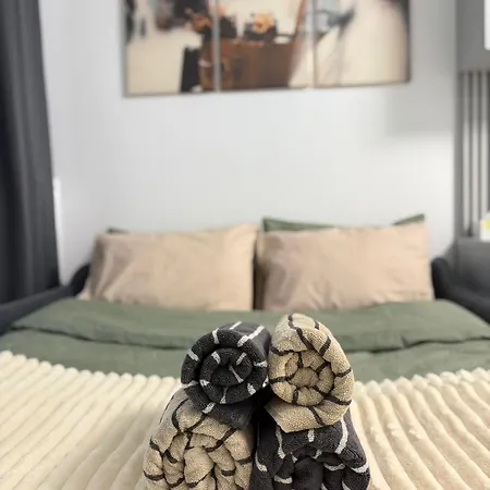 Casa Mayona Apartment Brasov