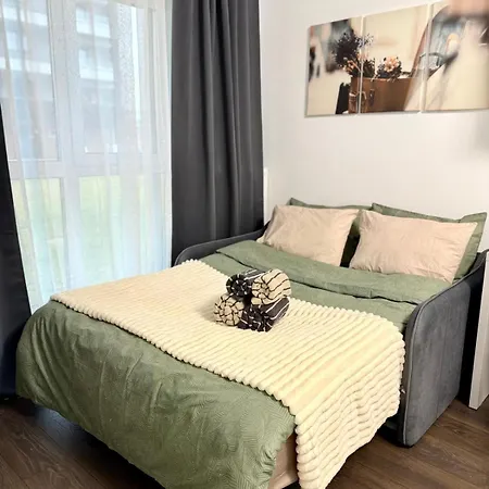 Casa Mayona Apartment Brasov