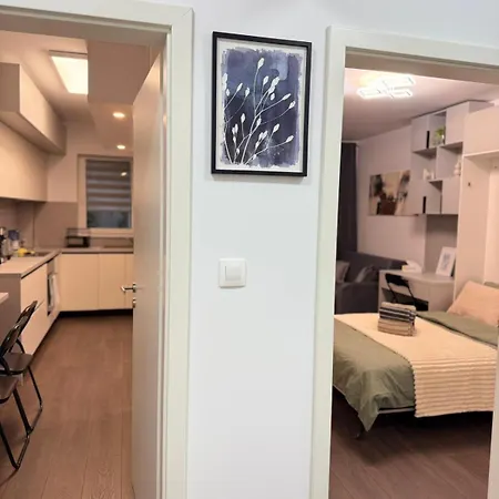 Casa Mayona Apartment Brasov