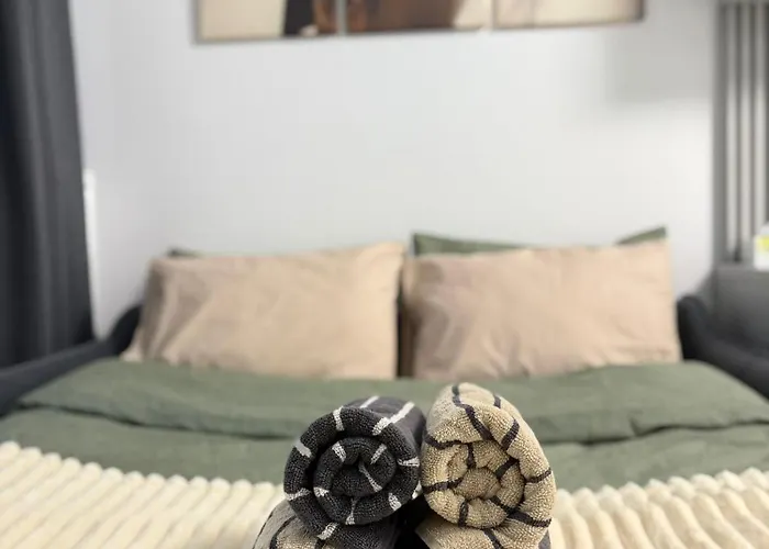 Casa Mayona Apartment Brasov