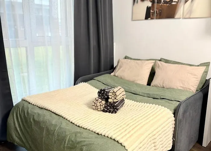 Casa Mayona Apartment Brasov