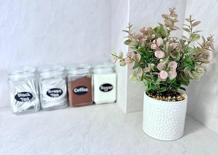 Apartment Casa Mayona Brasov