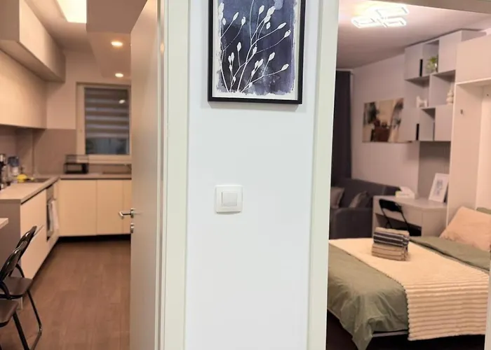 Casa Mayona Apartment Brasov