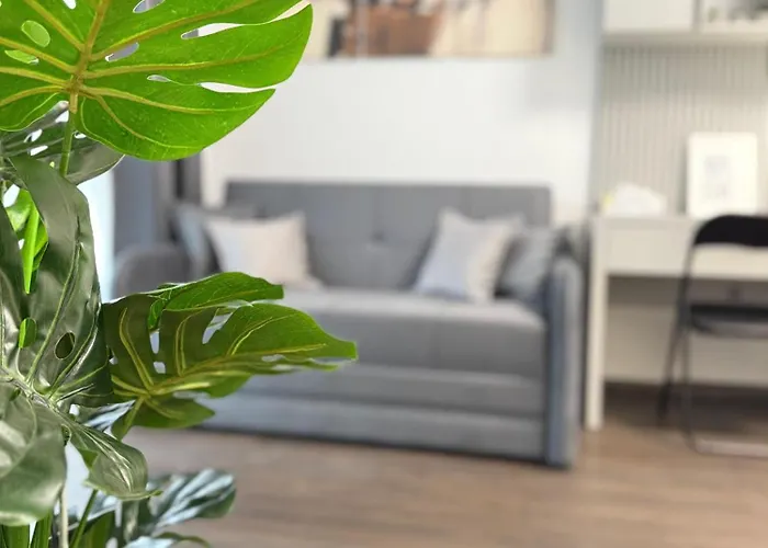 Apartment Casa Mayona *